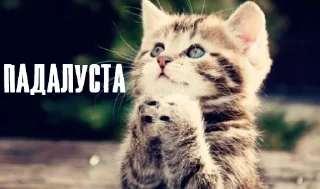 Стикер Самые ахуенные стикеры - 7