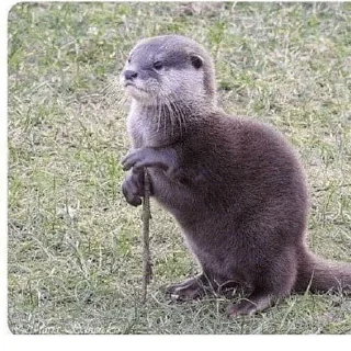 Стикер SonyБляді sticker pack - 2