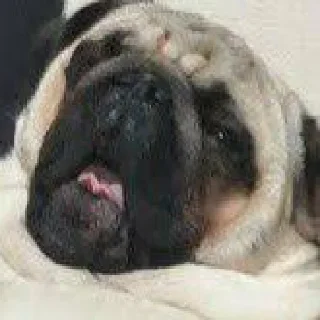 Стикер SonyБляді sticker pack - 11