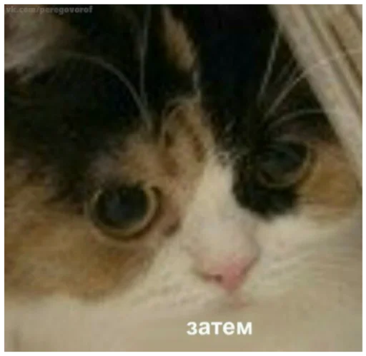 Стикер SonyaMaf - 1