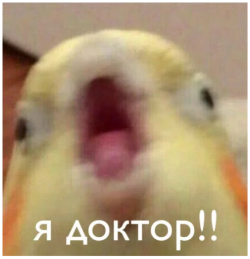 Sticker SonyaMaf - 1