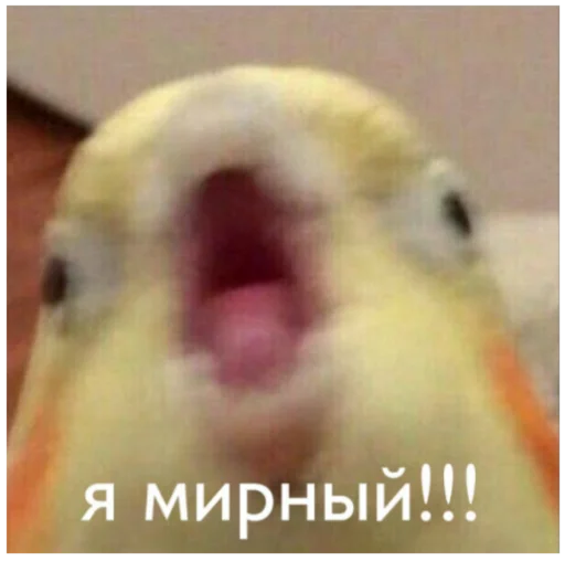 Sticker SonyaMaf - 1