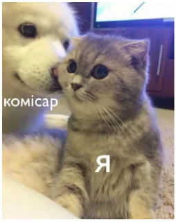 Sticker Mafia Soni - 11