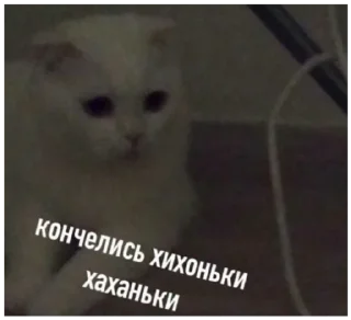 Sticker Mafia Soni - 5