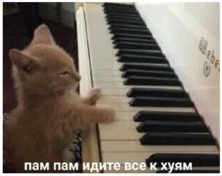 Sticker Mafia Soni - 6