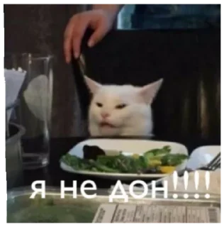 Sticker Mafia Soni - 10