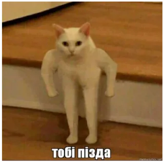 Sticker Mafia Soni - 4