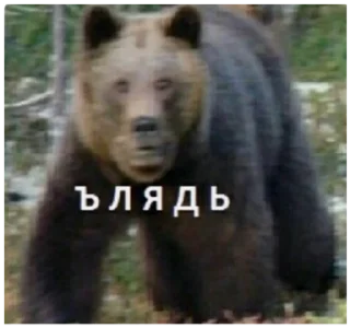 Sticker Mafia Soni - 9