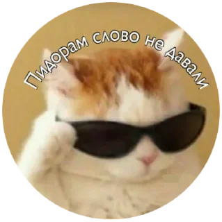 Sticker Mafia Soni - 1