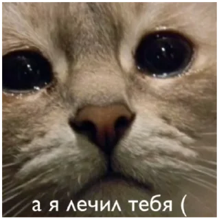 Sticker Mafia Soni - 3