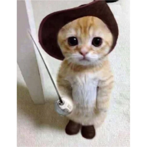 соня самая лучшая - животное