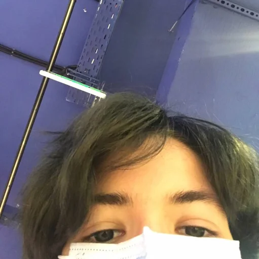 человеческое лицо Человек бровь