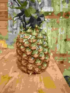 Sticker Больше стиков тут: @stikery4 - 3