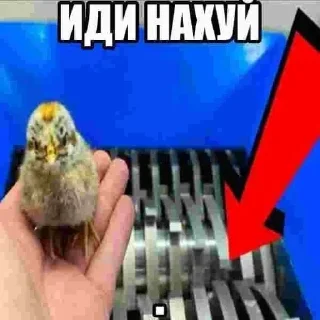 Sticker Больше стиков тут: @stikery4 - 6