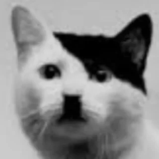 Sticker Больше стиков тут: @stikery4 - 11