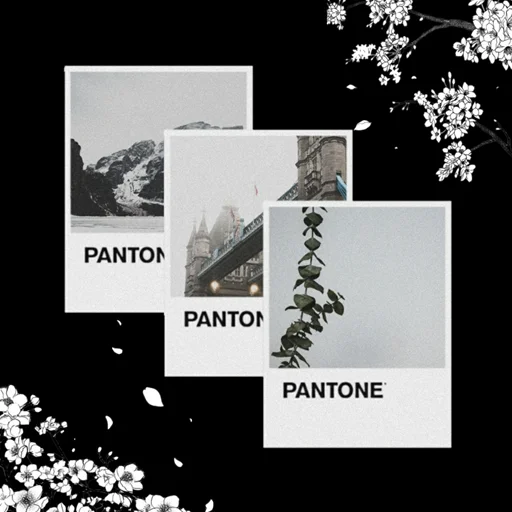 Стикер -Soo𝐛𝐢𝐧 : @VanteSticker - 9