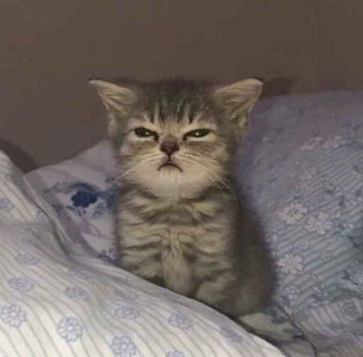 Kolela (two) :: @fStikBot - person