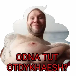 Sticker SMORODINA - 4