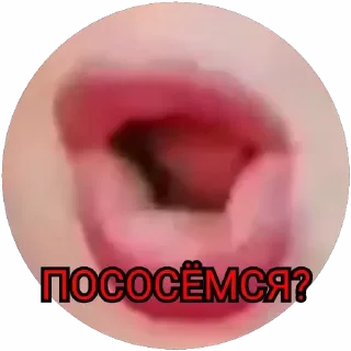 Sticker SMORODINA - 8