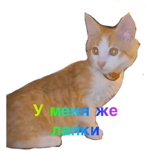 Стикер ВОЛКОВ - 5