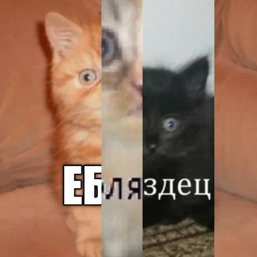 Sticker Итачи не может быть пассивом - 10