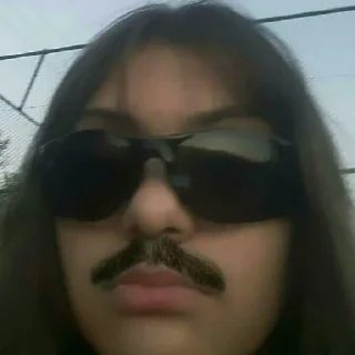 Sticker Соша - 6