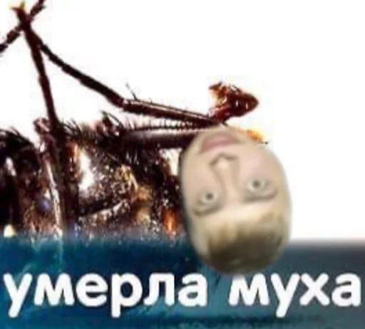 стикеры геев - 