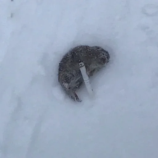 Стикер SoulOfVengeance - 1