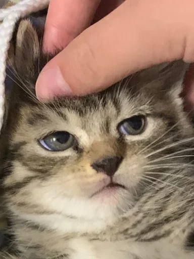 Стикер SoulOfVengeance - 1