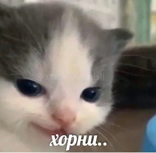 Sticker SoulOfVengeance - 1