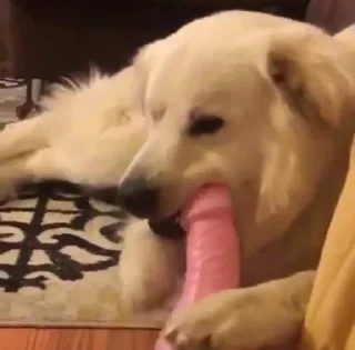 Sticker Soul Of Vengeance - 6