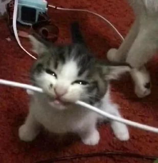 Sticker Soul Of Vengeance - 3