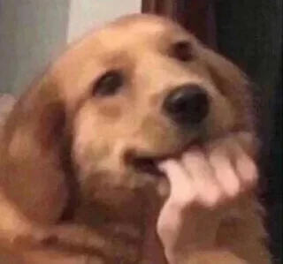 Sticker Soul Of Vengeance - 2