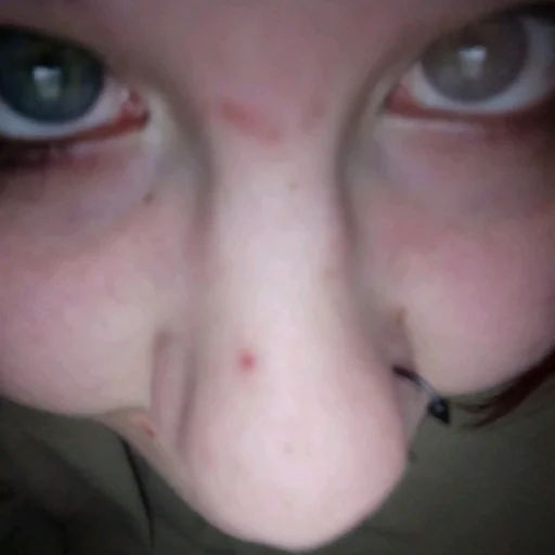 Sticker Sova2282288 - 1