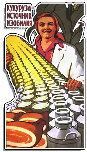 человеческое лицо одежда улыбаться