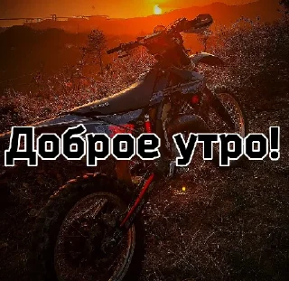 Стикер Создатель- @d1zziX - 8