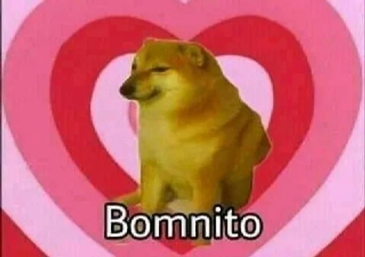 СМС млекопитающее животное