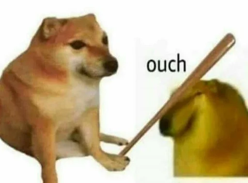 pet dog breed mammal