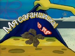 Sticker Sort spb - 4