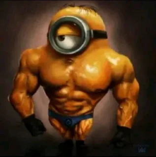 muscle bodybuilding bodybuilder