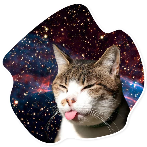 Sticker SpaceCats1 - 1