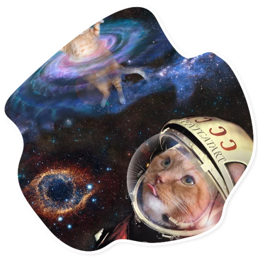 Стикер SpaceCats1 - 1