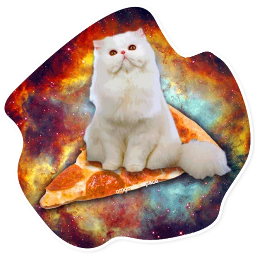 Sticker SpaceCats1 - 1