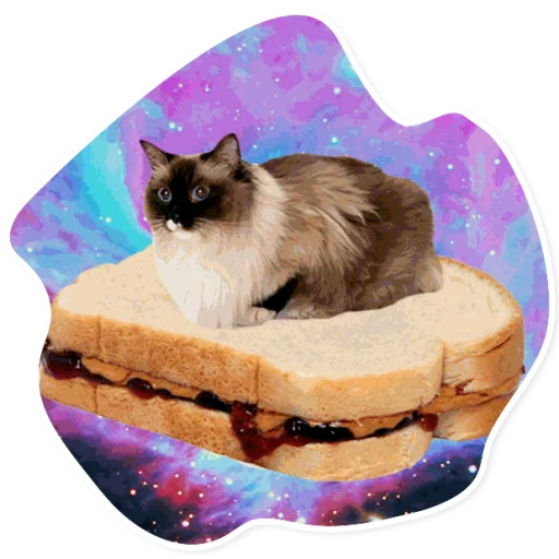 Стикер SpaceCats1 - 1