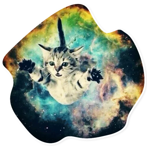 Стикер SpaceCats1 - 1