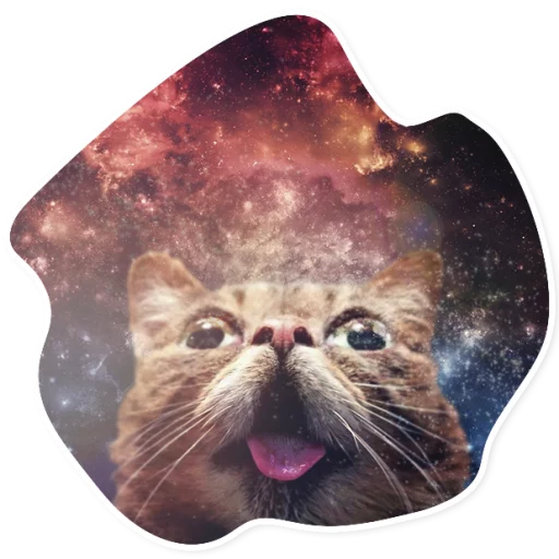 Стикер SpaceCats1 - 1