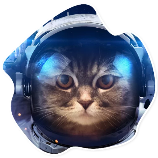 Sticker SpaceCats1 - 1
