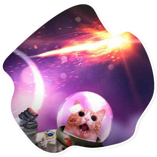 Sticker SpaceCats1 - 1