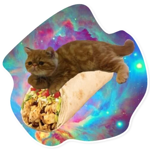 Стикер SpaceCats1 - 1