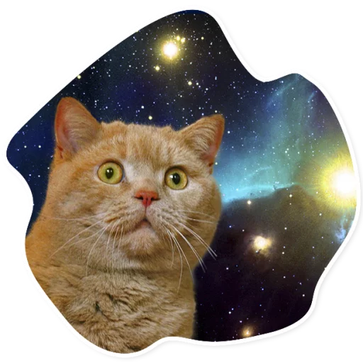 Стикер SpaceCats1 - 1